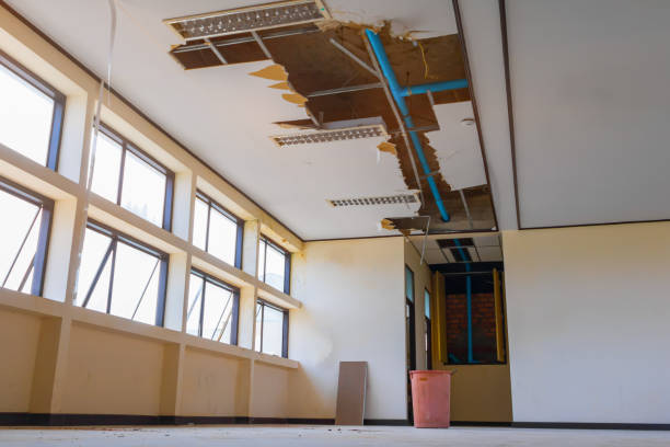 Best Ceiling water damage repair  in Russell, GA