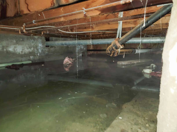 Best Water damage contractors near me  in Russell, GA