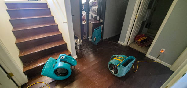 Best Local water damage restoration  in Russell, GA