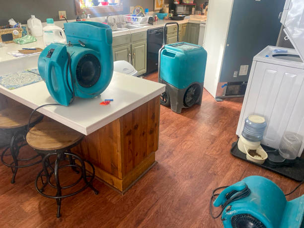 Best Water damage restoration cost  in Russell, GA