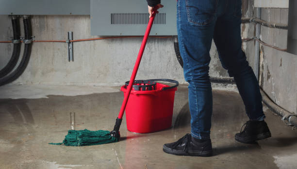 Best Carpet water damage restoration  in Russell, GA