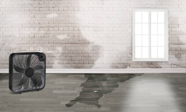 Best Water damage cleanup near me  in Russell, GA