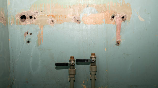 Best Flooded house restoration  in Russell, GA