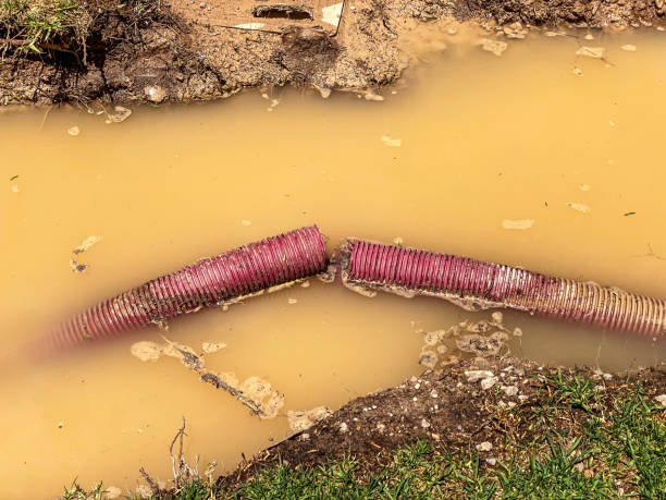 Best Basement water damage restoration  in Russell, GA