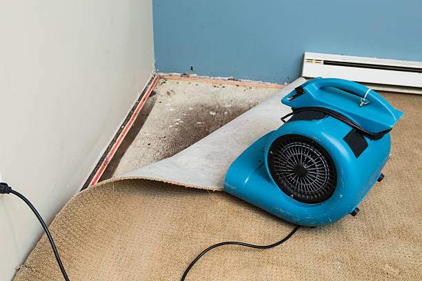 Best 24/7 water damage repair  in Russell, GA